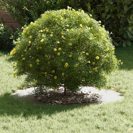 Cache-pot en céramique Blanc Céramique Grand 