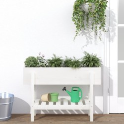 Lit surélevé de jardin blanc 101x30x69 cm bois de pin massif 