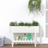 Lit surélevé de jardin blanc 101x30x69 cm bois de pin massif 