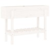 Lit surélevé de jardin blanc 101x30x69 cm bois de pin massif 