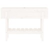 Lit surélevé de jardin blanc 101x30x69 cm bois de pin massif 