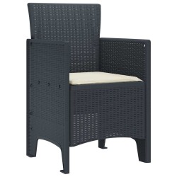 Chaises de Jardin 2 pcs Anthracite 53 x 49 x 85 cm 