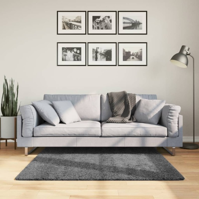 Tapis OVIEDO à poils courts anthracite 120x120 cm 