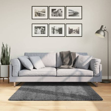 Tapis OVIEDO à poils courts anthracite 120x120 cm 