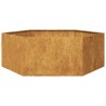 Jardinière hexagone 138x120x45 cm acier patinable 