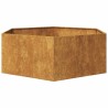 Jardinière hexagone 138x120x45 cm acier patinable 