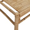 Table basse de jardin 100x55x33 cm bambou 
