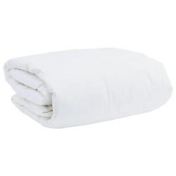 Couettes et Duvets Blanc 240 x 220 cm Bas 