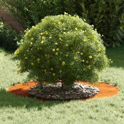 Planteur acier Corten Acier Corten Grand Incrustations décoratives 