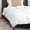 Couette avec oreiller 2 pcs Blanc 140 x 220 cm Bas 