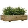 Jardinière 110x60x26,5 cm bois de pin imprégné 