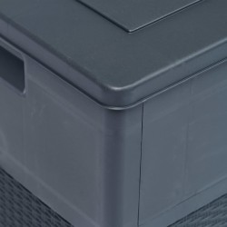 Boîte de rangement de jardin 320 L Anthracite 