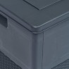 Boîte de rangement de jardin 320 L Anthracite 