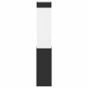 Appliques Murales Extérieures 2 pcs Noir en Acier Inoxydable IP44 