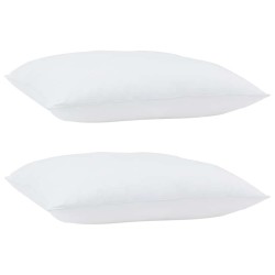 Oreillers 2 pcs Blanc 60 x 60 cm 