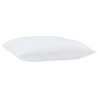 Oreillers 2 pcs Blanc 60 x 60 cm 