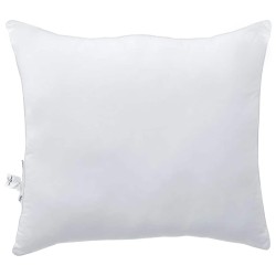 Oreillers 2 pcs Blanc 60 x 60 cm 