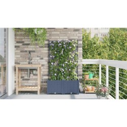 Jardinières de jardin 1 pc Gris 80 x 40 x 142 cm Plastique 