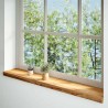 Appuis de fenêtre 2 pcs marron clair bois de chêne massif 