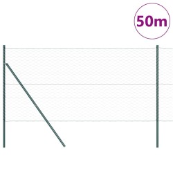 Clôture Hexagonale Verte 1.2x50 m Acier 