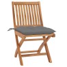 Chaises de jardin lot de 2 et coussins gris Bois de teck massif 
