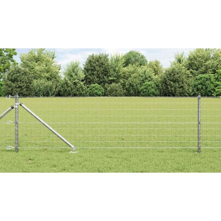 Clôture Euro avec 13 poteaux pointus, 0,8 x 25 m, en acier galvanisé 
