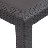Table de jardin Marron 220x90x72 cm Plastique Aspect de rotin 