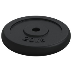 Plaque de poids 40 kg Fonte 