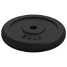 Plaque de poids 40 kg Fonte 