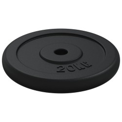 Plaque de poids 40 kg Fonte 