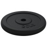 Plaque de poids 40 kg Fonte 