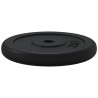 Plaque de poids 40 kg Fonte 