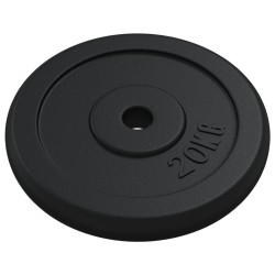Plaque de poids 40 kg Fonte 