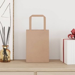 Sacs en papier 50 pcs avec poignées marron 15x8x21 cm 