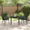 Ensemble de salle à manger de jardin 3 pièces - Rattan synthétique noir 
