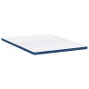 Coussins de Matelas Blanc et Bleu 140 x 200 cm 
