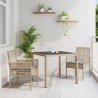 Ensemble de salle à manger pour jardin 3 pcs Beige 