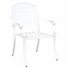 Chaises de jardin 2 pcs en aluminium blanc moulé 