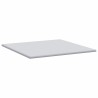 Coussins de Matelas Blanc 200 x 200 cm 