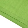 Tapis de tente vert clair 200x200 cm PEHD 