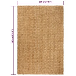 Tapis rectangulaire Naturel 200x300 cm Jute 