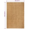 Tapis rectangulaire Naturel 200x300 cm Jute 
