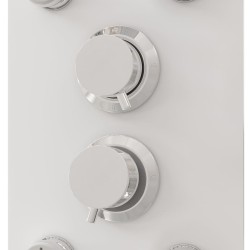 Panneau de douche Verre 25x47,5x130 cm Blanc 