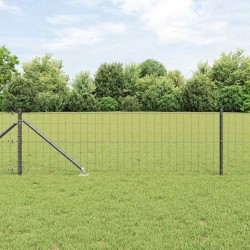 Clôture Euro avec 13 poteaux en pointe, 0,8 x 25 m en acier galvanisé gris 