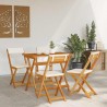 Ensemble Bistro Pliable 5 Pièces avec Coussins en Bois Massif d'Acacia 