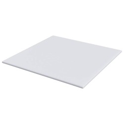 Coussins de Matelas Blanc 200 x 200 cm 