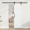 Porte Coulissante avec Kit de Quincaillerie Blanche 61x198,5 cm Bois Massif Pin 