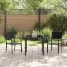 Ensemble de 3 meubles de jardin en poly rattan noir. 