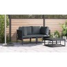 Ensembles de meubles d'extérieur avec coussin avec oreiller 2 pcs Anthracite 