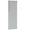 Store de Fenêtre avec des rideaux Argenté 80 x 130 cm Aluminium 